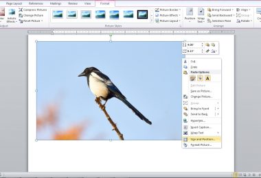 Mengedit dan Mengompres Gambar di Microsoft Word